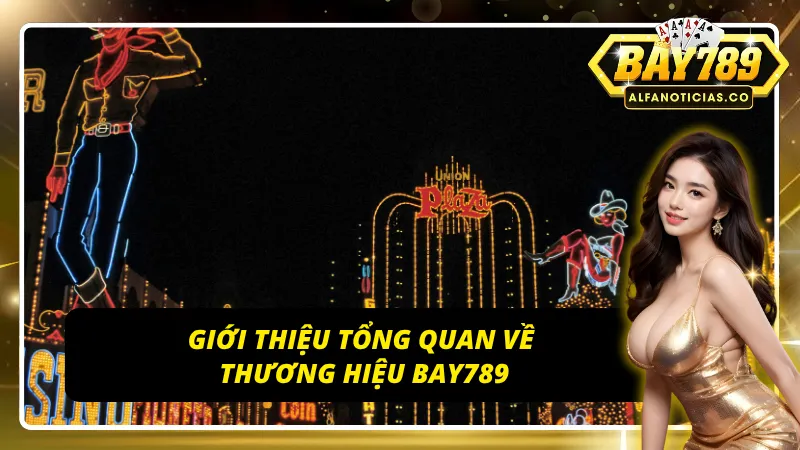 Tìm hiểu sơ lược về thương hiệu BAY789